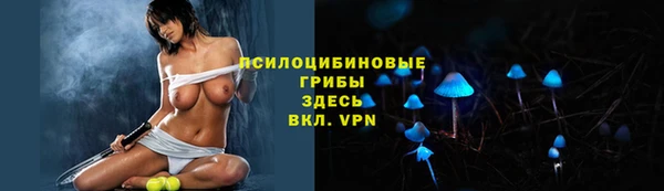 дурь Алексеевка