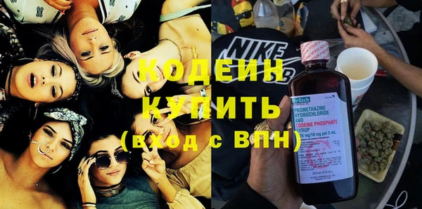 PSILOCYBIN Алзамай